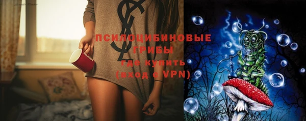винт Аша
