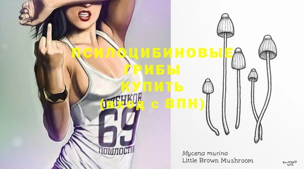 ешки Михайловск