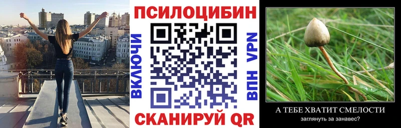 продажа наркотиков  Мурино  Псилоцибиновые грибы Psilocybine cubensis 