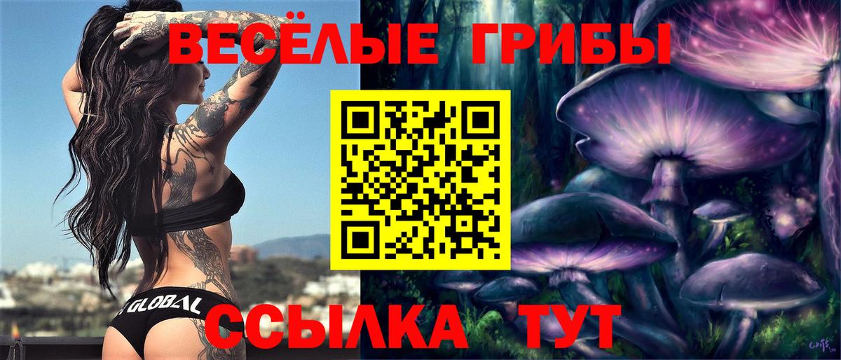 Мурино  Галлюциногенные грибы прущие грибы  Вход с VPN 
