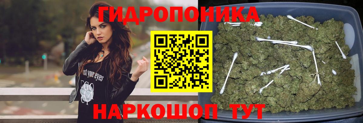 Бошки марихуана Amnesia Мурино